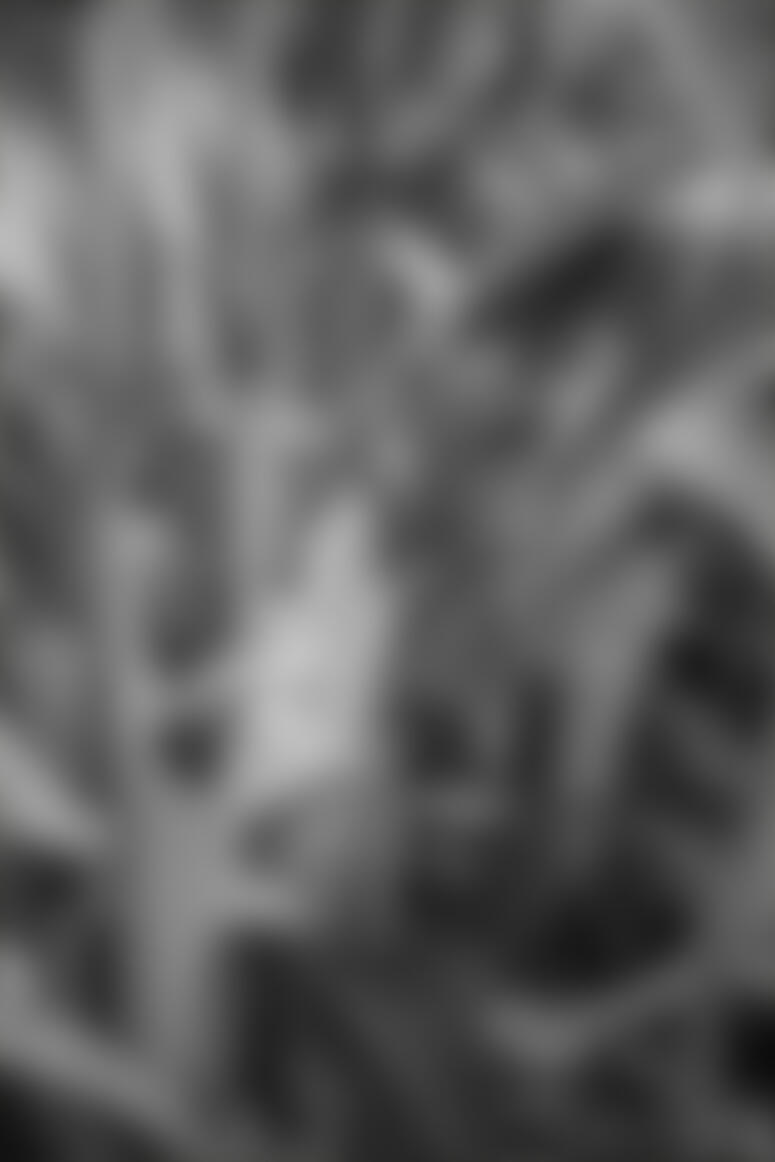 Visible Only After Login